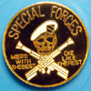US Army Special Forces Logo