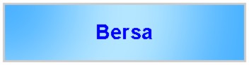 Bersa