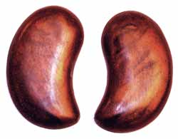 No hole, amber burl