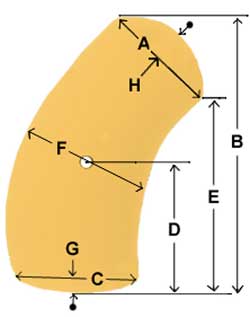 size diagram