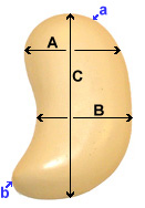 size diagram