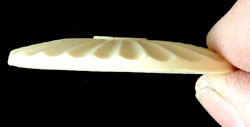 Side view