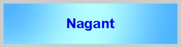 Nagant