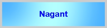 Nagant