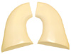 Generic Colt SA  Blanks (151a)