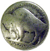 Buffalo Nickel Medallion, 5/8-in