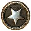 Silver Star Medallion, 5/8-in.