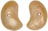 Buddie Derringer (120a)